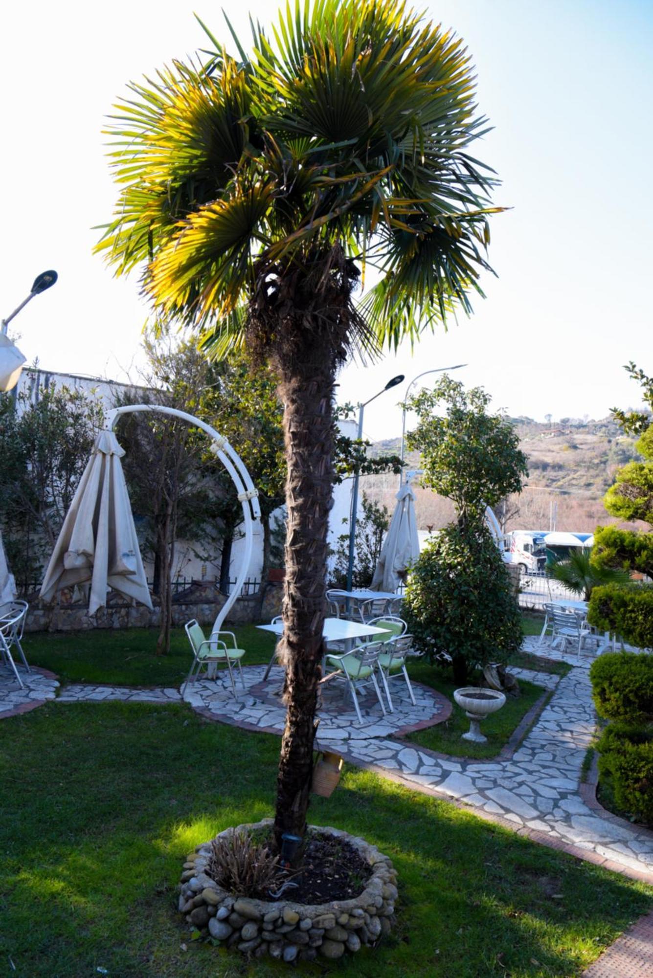 Hotel Restorant Halal Il Tramonto. Vorë Εξωτερικό φωτογραφία