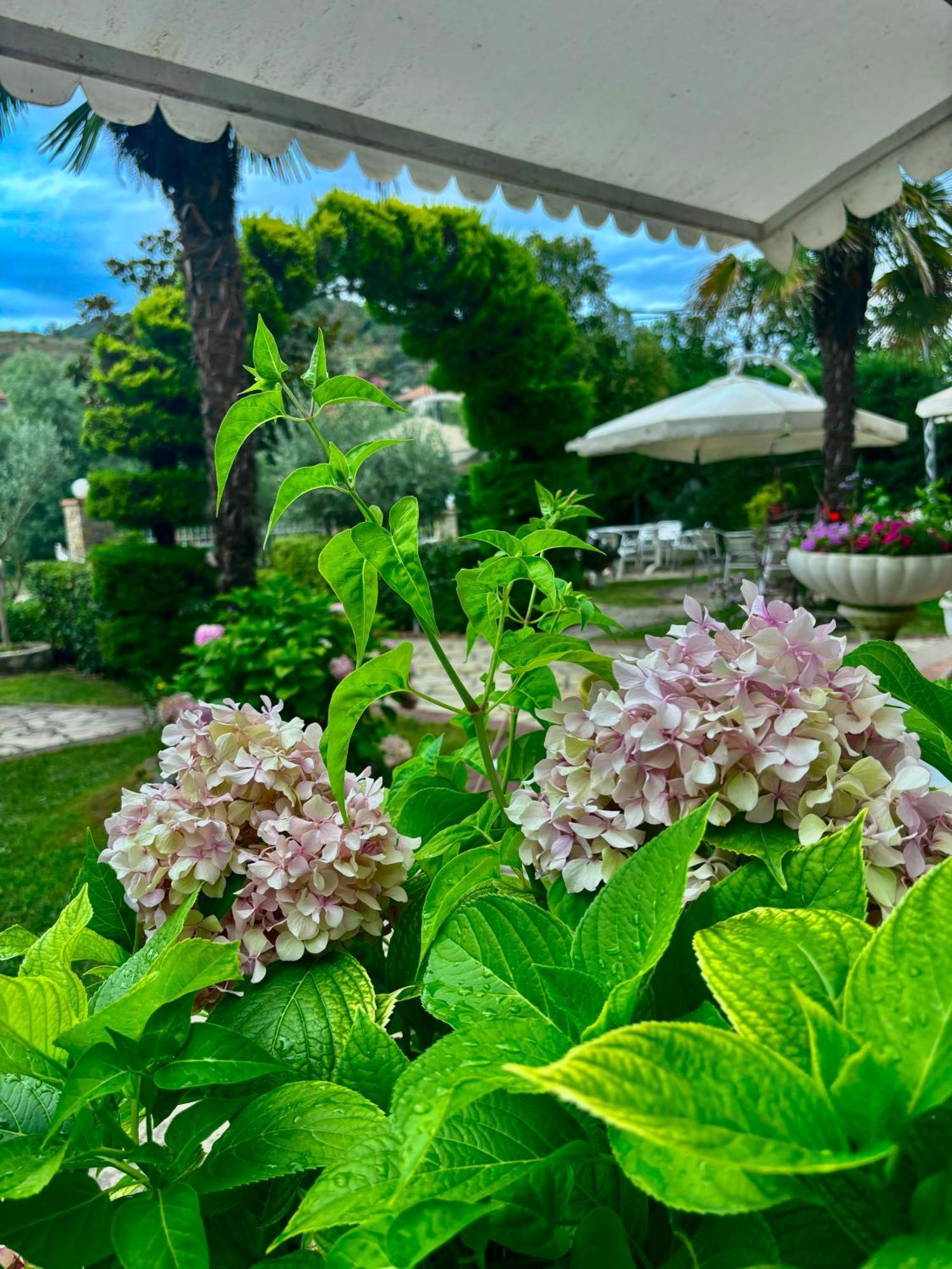 Hotel Restorant Halal Il Tramonto. Vorë Εξωτερικό φωτογραφία